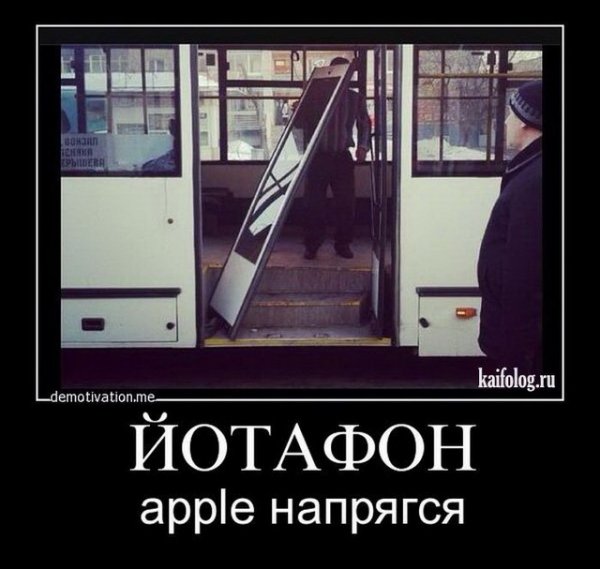 file_64555535