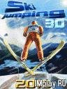 3DSkiJumping2010
