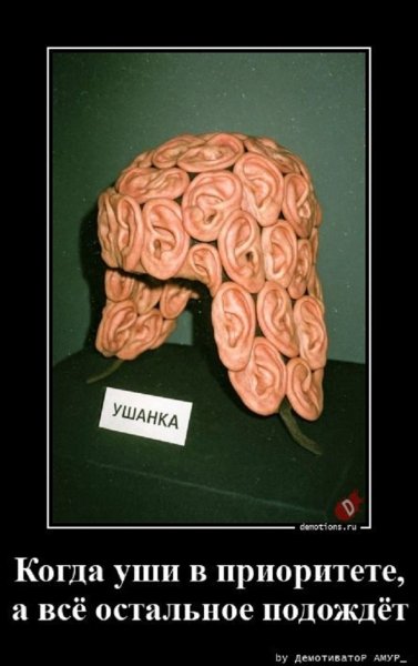 Шапка ушанка