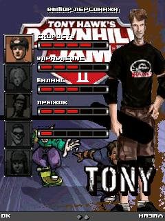 Tonyhawkdownhil240