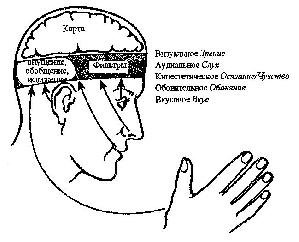 NLP Polnoe prakticheskoe rukovodstvo