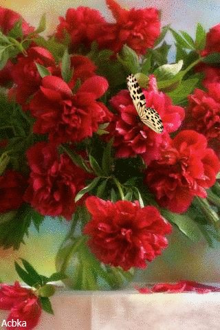 file_77991189