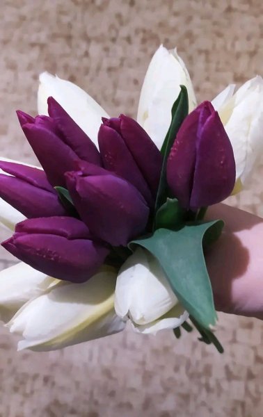 file_95715435