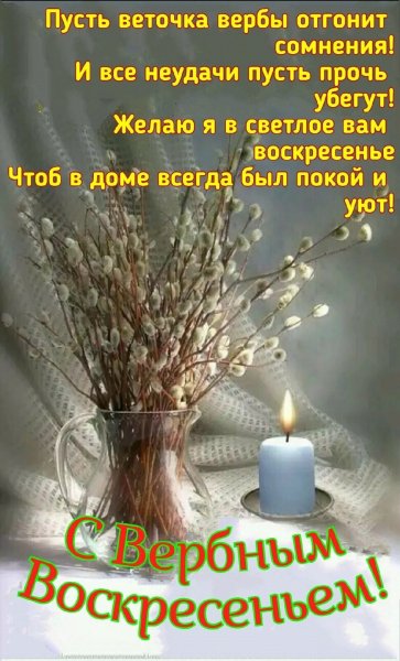 IMG 20230409 210715