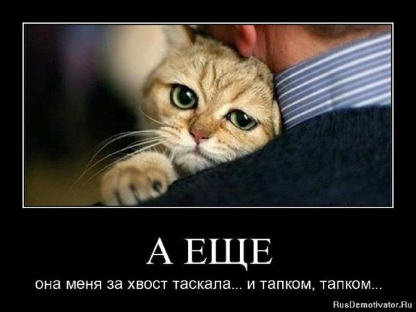 А ещё