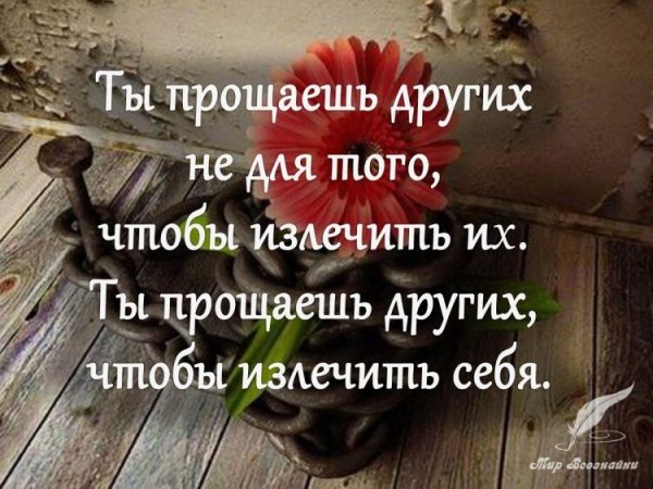 photo 1604573884