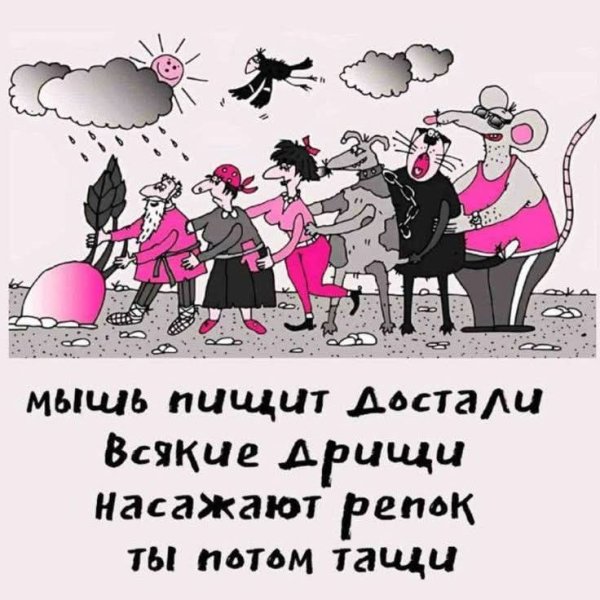 FB IMG 1779104198649