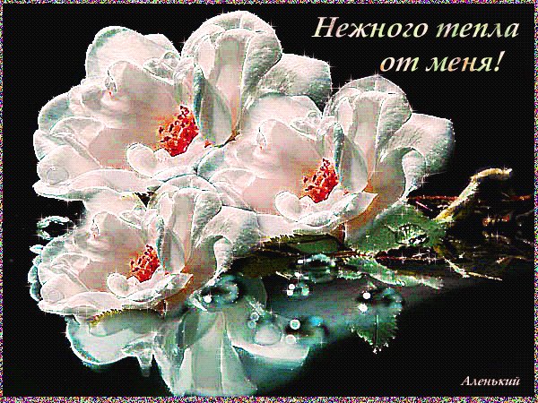 Нежного тепла от меня!