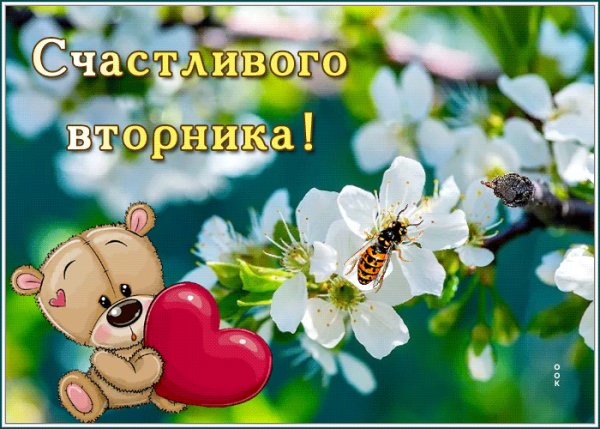 вторник 021010