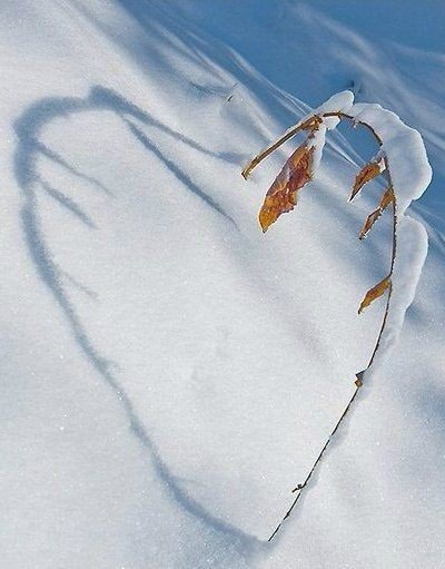 file_95413273