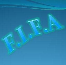 fifa-09