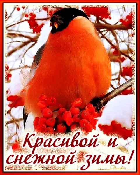 file_95550667