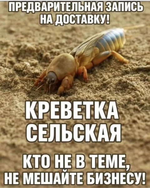 file_102579493