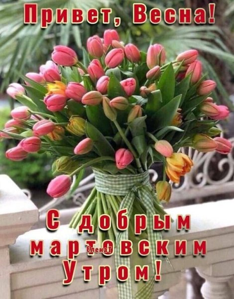 IMG 20240301 232945