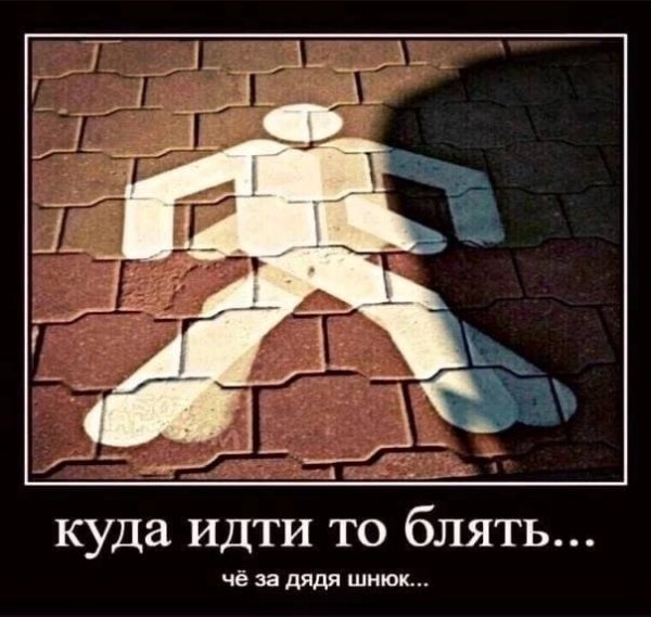 IMG 20240220 165521 596