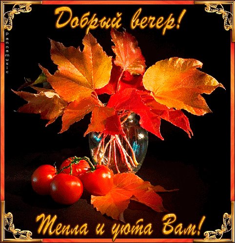 fb34440bda41275633c1b1b55e5e4f1e