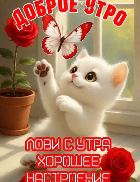 DFGHJKJYTR