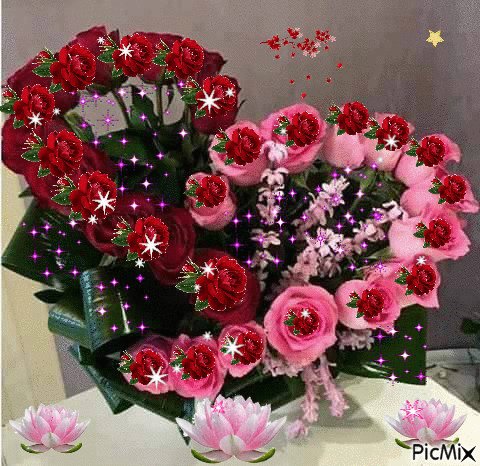 IMG 20170911 215549 3