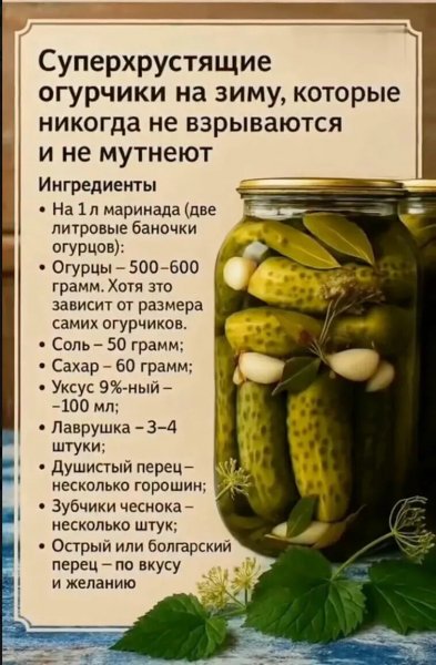 IMG 20250831 122114
