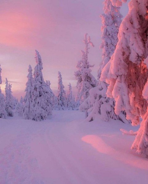 file_95448724
