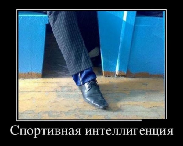Спортивная интеллигенция