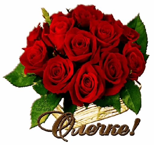 IMG 20210313 091631