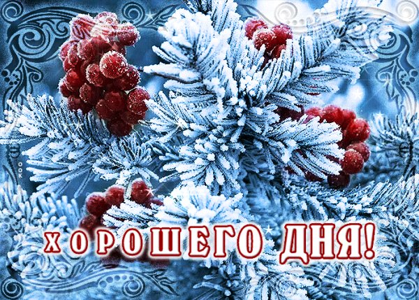 IMG 20240224 002250