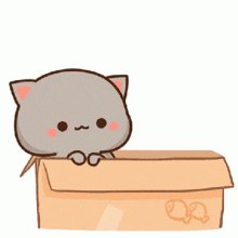 Stiker-lucu