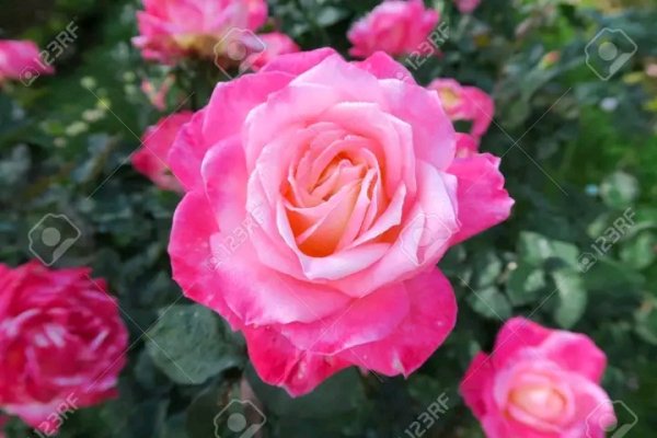 file_95693074