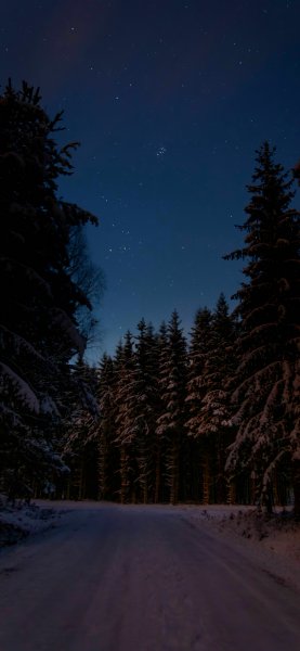 file_95992700