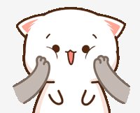 Mochipeachcat-mochi-cat