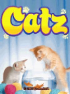 catz nok
