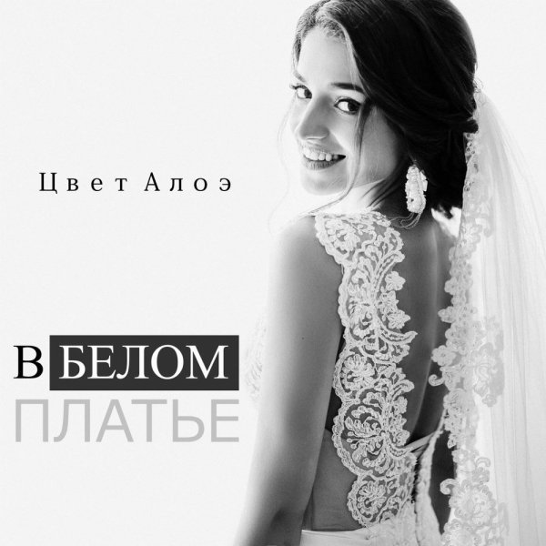 Цвет алоэ - 9 жизней
