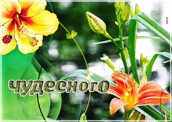 Анимированная открытка чудесного вторника