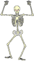 18 scull