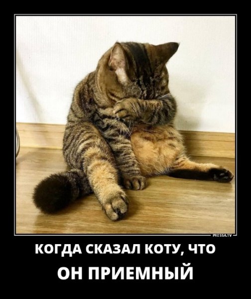 file_77165335