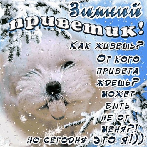 Зимний приветик