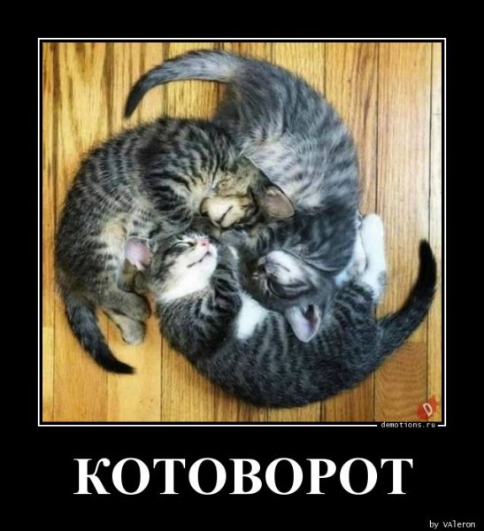 KOTOVOROT demotions.ru