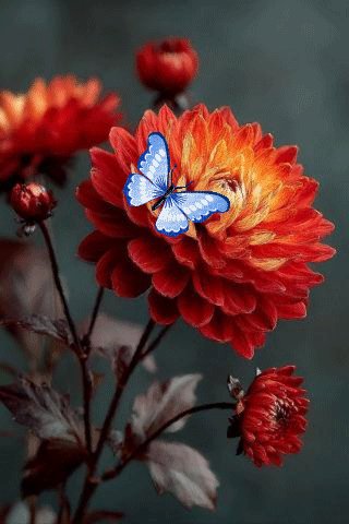 file_100846782