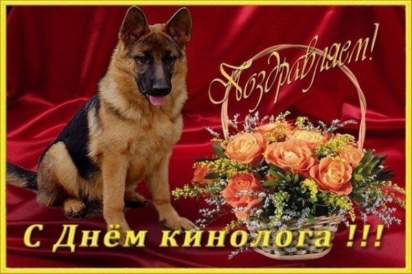 Открытка поздравляем с днём кинолога