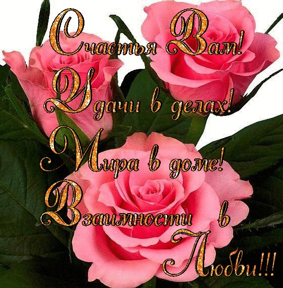IMG 20171019 202252 67