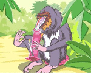 animals drugs