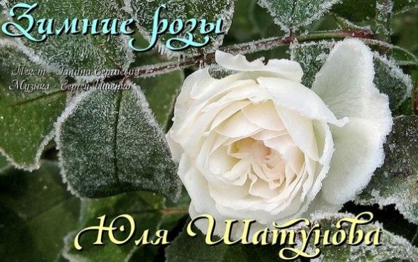 новинки музыки 2015