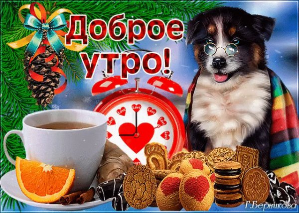IMG 20221214 202808