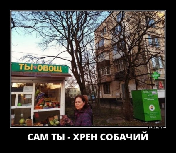 file_77496460