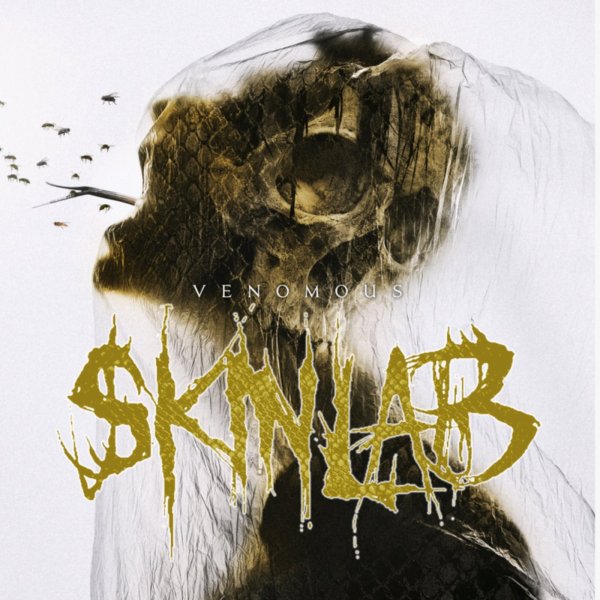 Skinlab - End of Silence