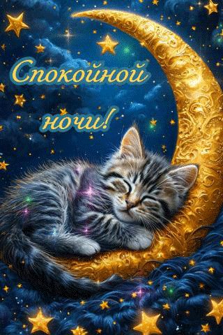 file_98799283