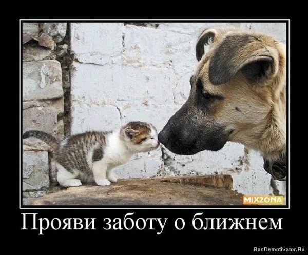 Прояви заботу о ближнем