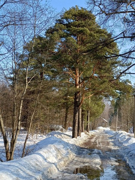 file_102303112