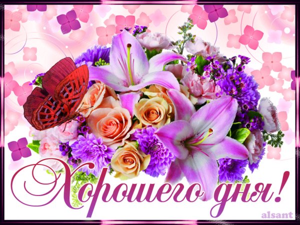 file_75181585